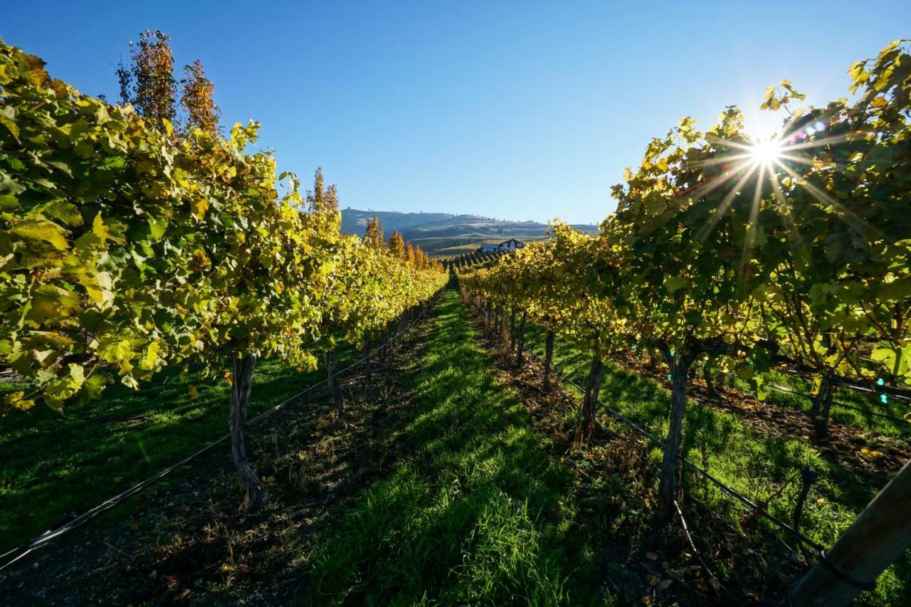 The Vineyards Lodge Chelan Zewnętrze zdjęcie
